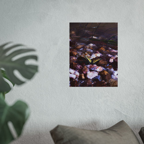 Butterfly Rockscape Fine Art Poster-Original Photography by BEE