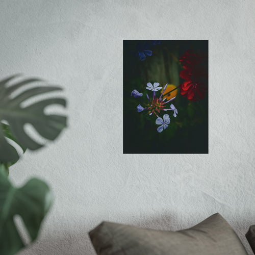 Botanical Nightscape Fine Art Poster — Moody Floral Wall Art-Original Photography by BEE