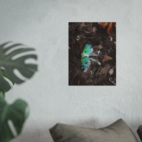 Fine Art Poster — Decaying Green Moth Nature Photography Print-Original Photography by BEE
