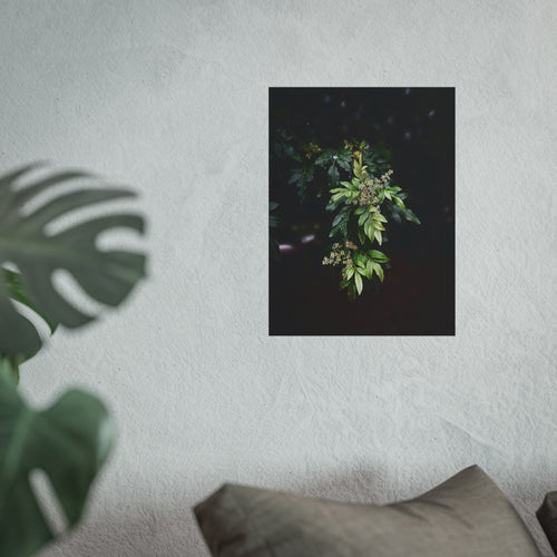 Botanical Fine Art Poster — Moody Green Leaf Photography